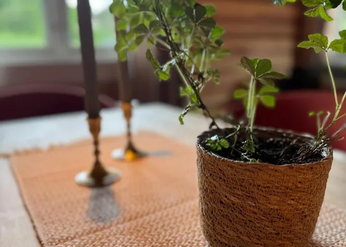 Gunhild-stugu Semesterbostad *